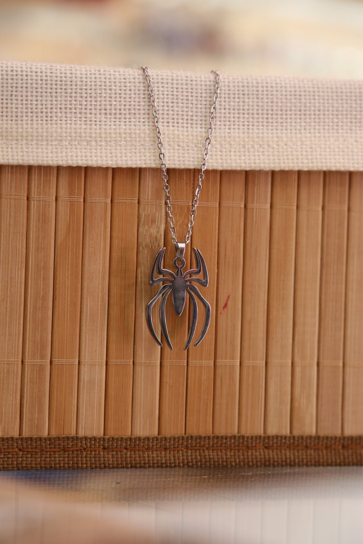 Silver Spider Necklace