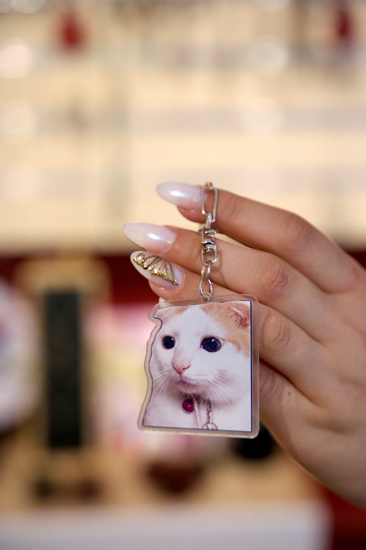 Cat Keychain v16