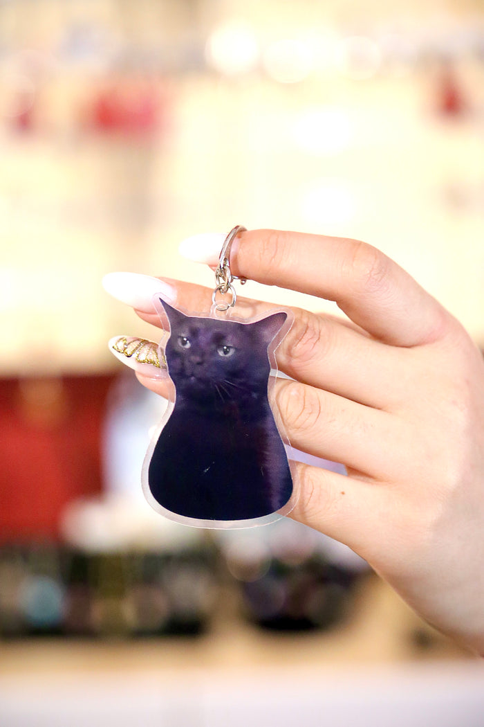 Larry Cat Keychain