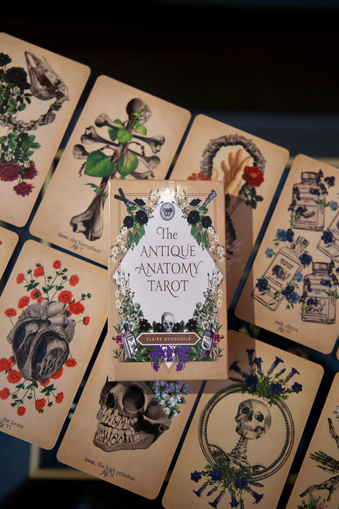 The Antique Anatomy Tarot 