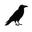 Raven Store logo